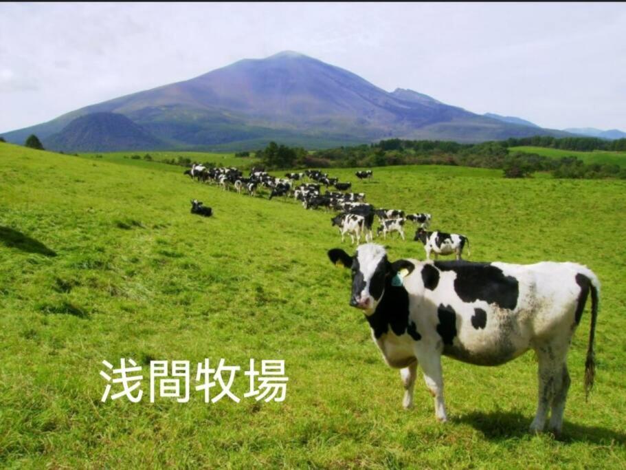 おもちゃ王国と北軽井沢の大自然を満喫できる貸別荘 Karuizawa Eksteriør billede
